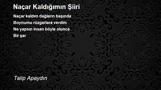 Talip Apaydın