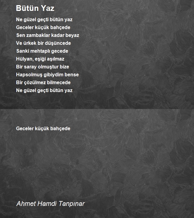 Ahmet Hamdi Tanpınar