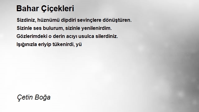 Çetin Boğa