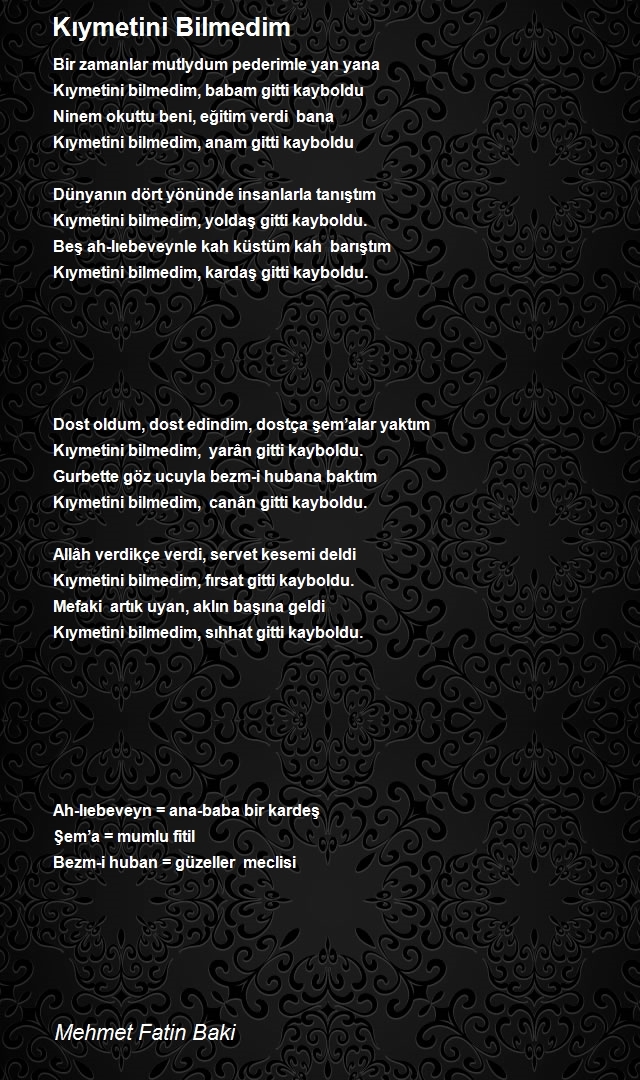 Mehmet Fatin Baki
