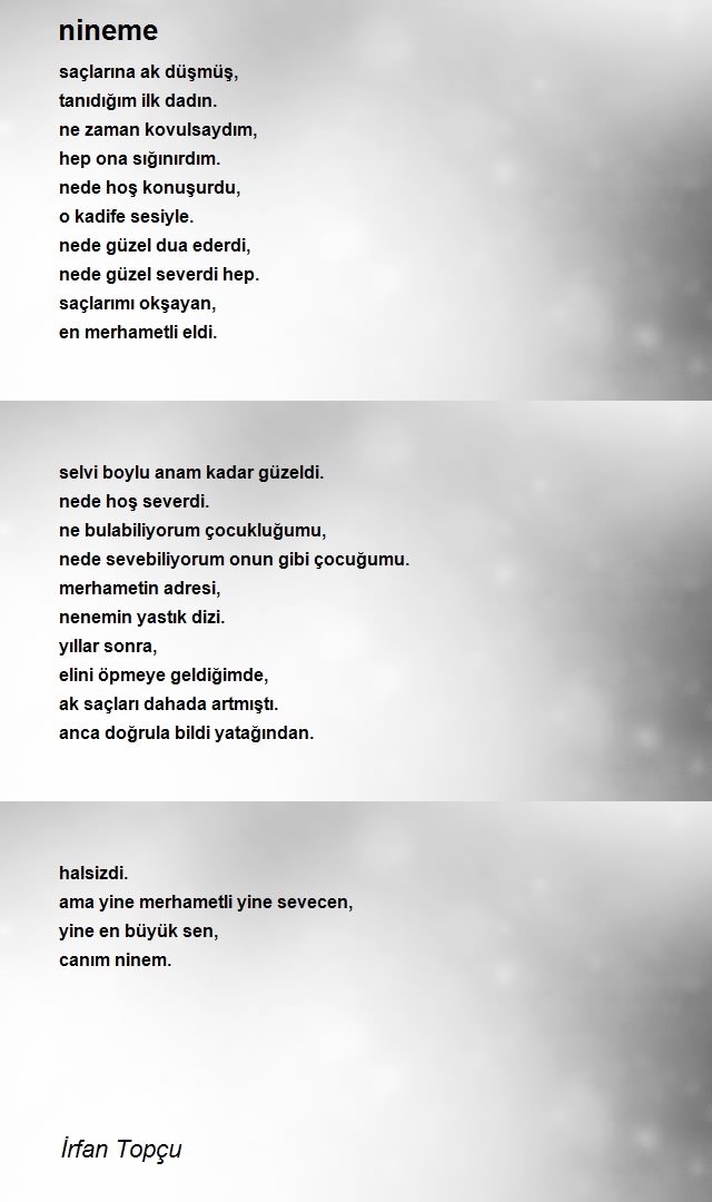 İrfan Topçu