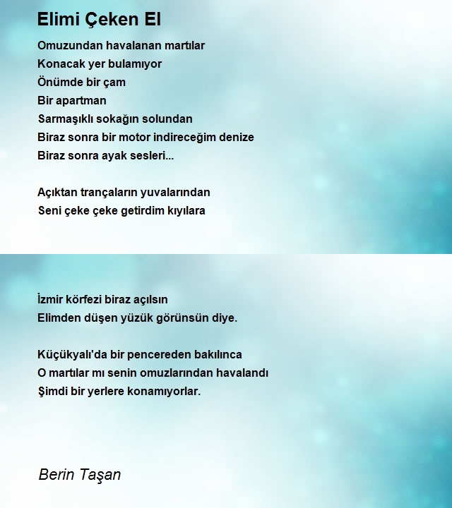 Berin Taşan