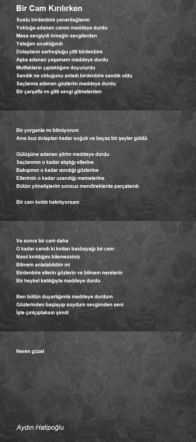 Aydın Hatipoğlu