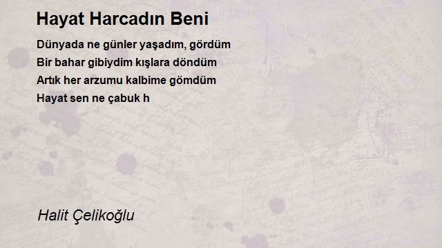 Halit Çelikoğlu