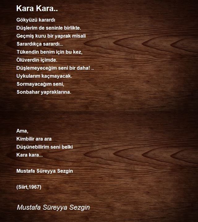 Mustafa Süreyya Sezgin