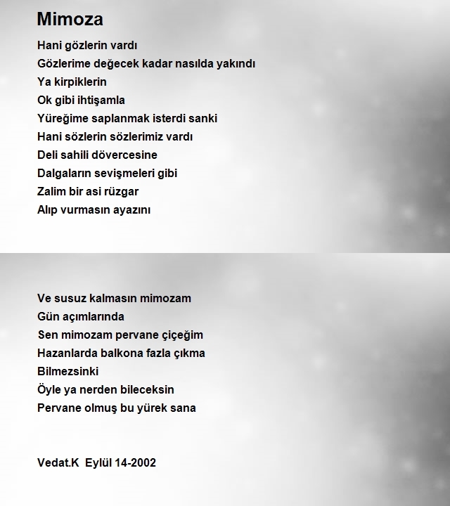 Vedat Koparan