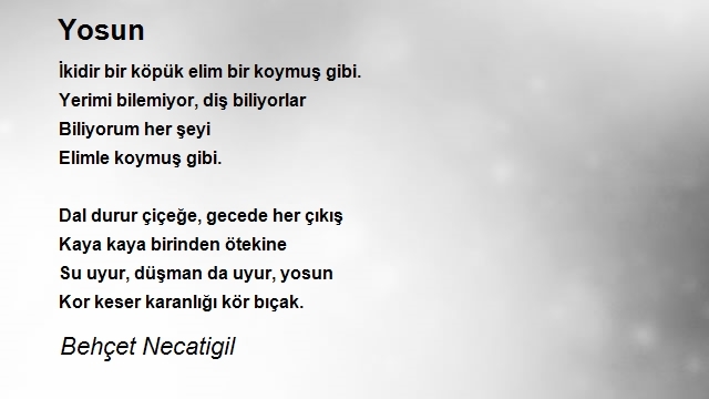 Behçet Necatigil