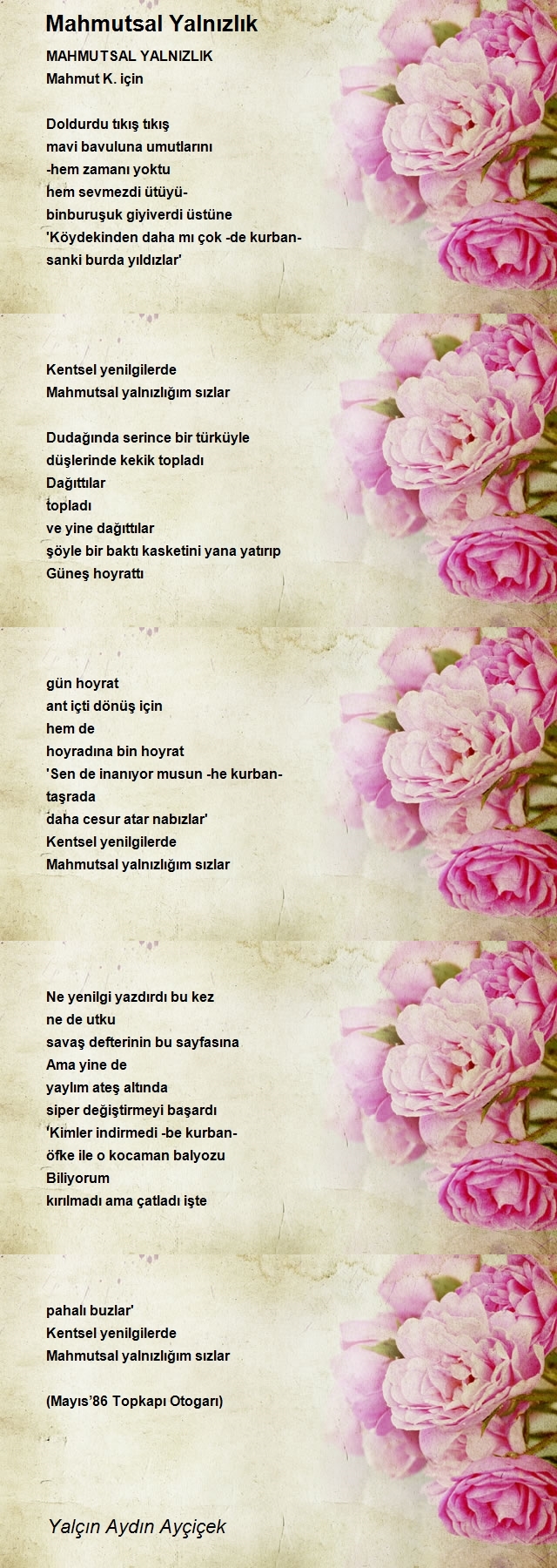 Yalçın Aydın Ayçiçek