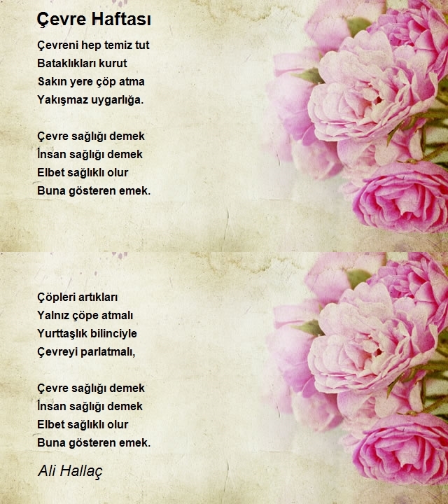 Ali Hallaç