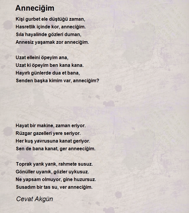 Cevat Akgün