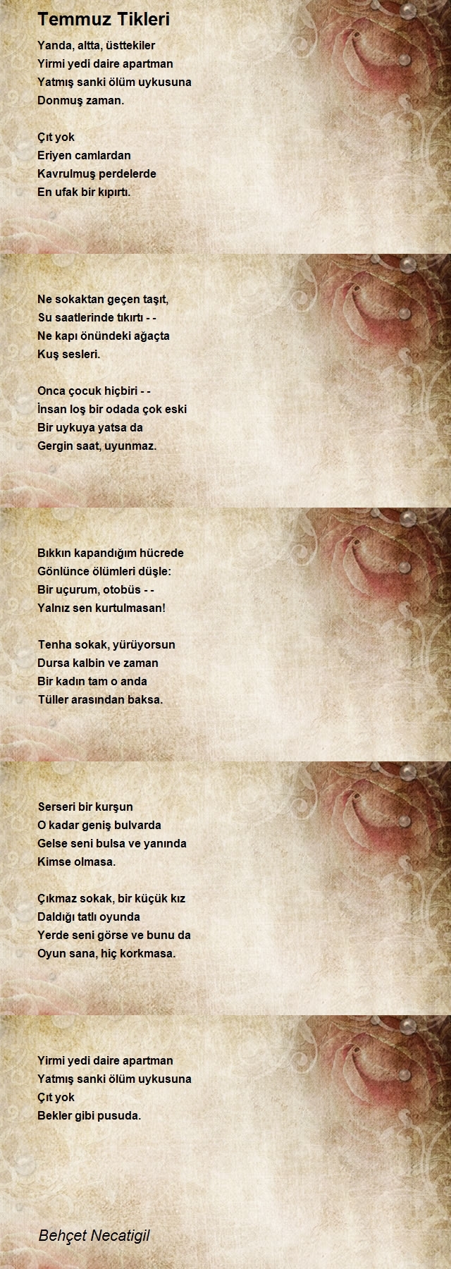 Behçet Necatigil