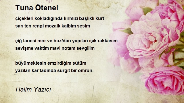 Halim Yazıcı