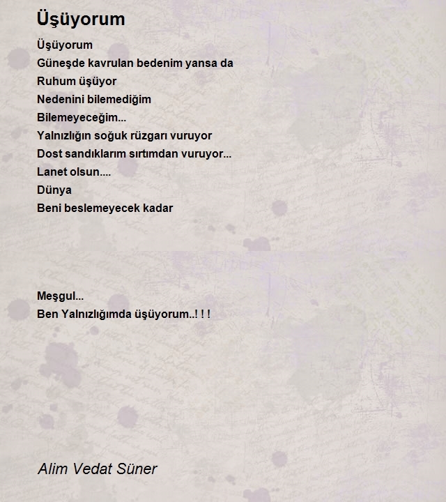 Alim Vedat Süner