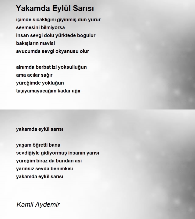 Kamil Aydemir