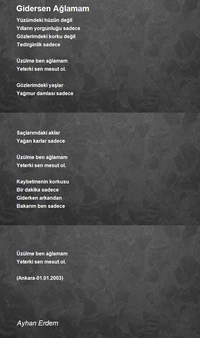 Ayhan Erdem