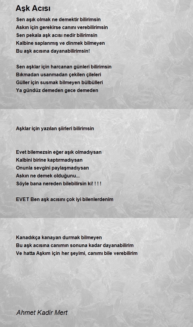 Ahmet Kadir Mert