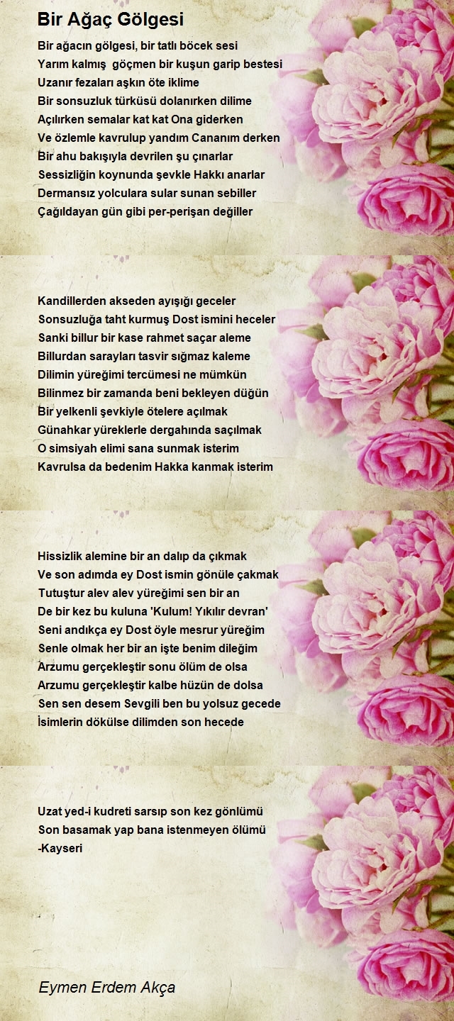 Eymen Erdem Akça