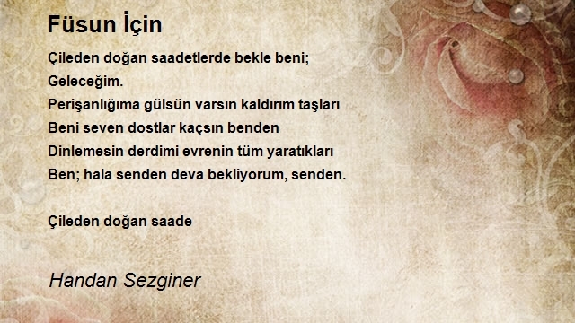 Handan Sezginer