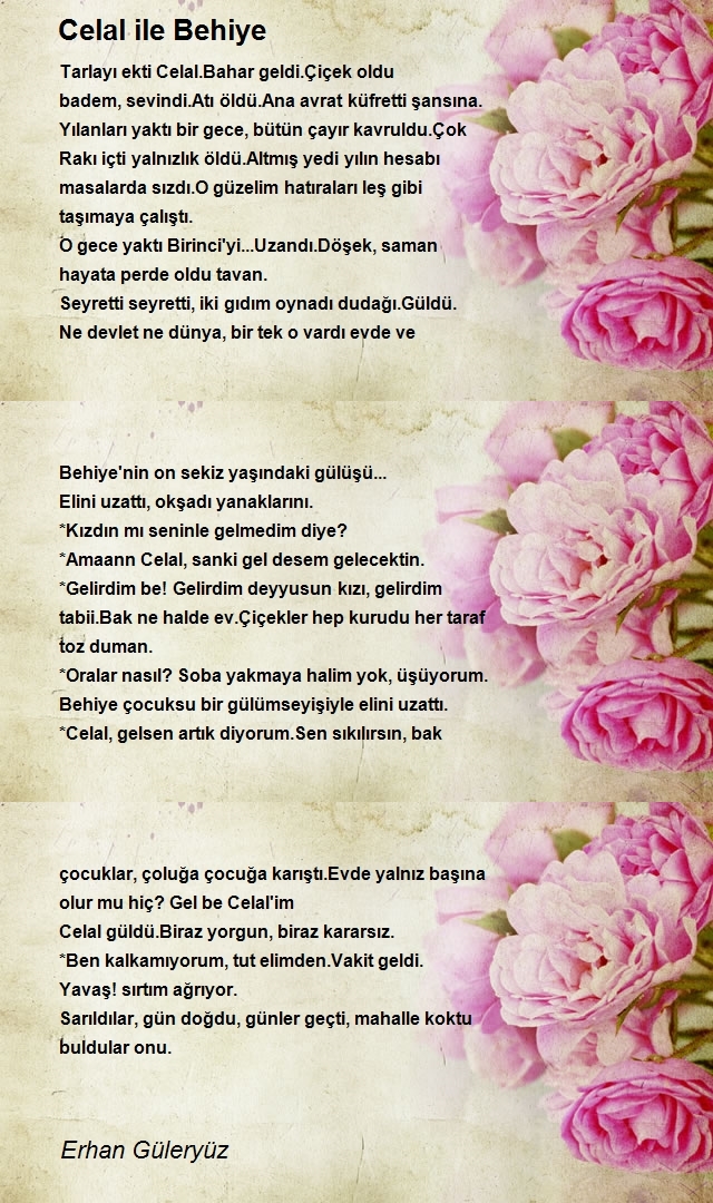 Erhan Güleryüz