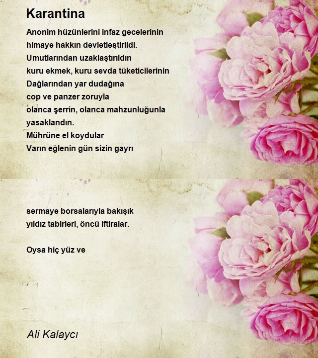 Ali Kalaycı