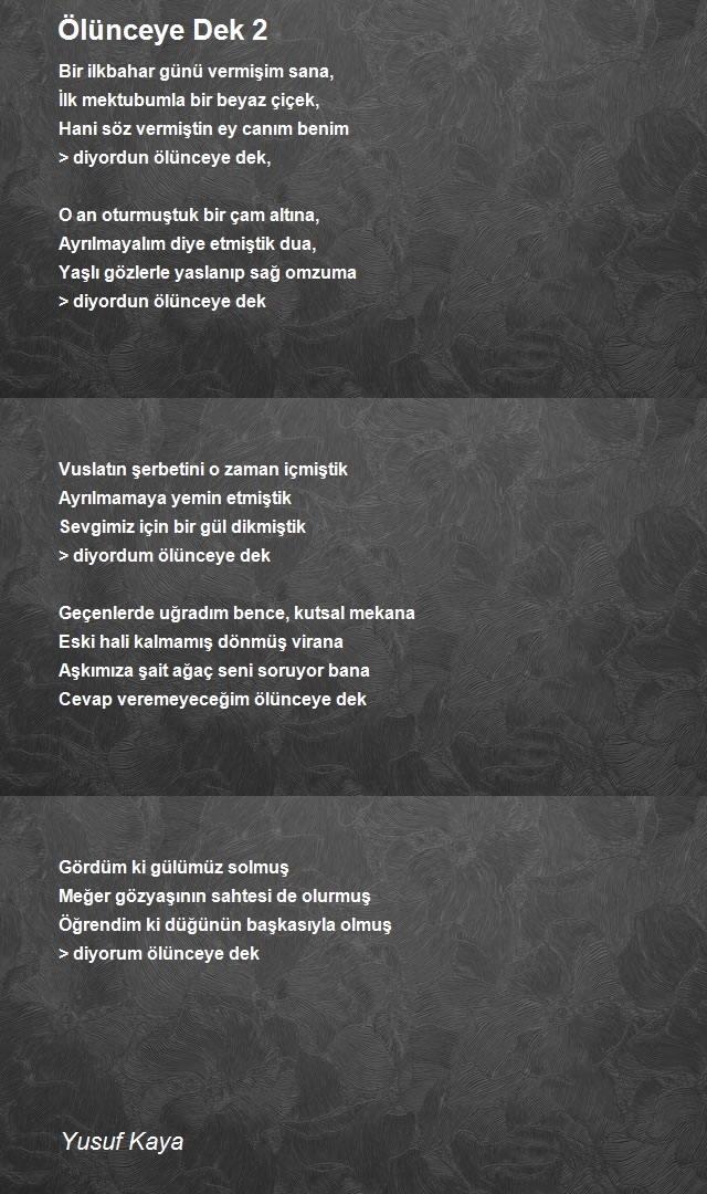 Yusuf Kaya