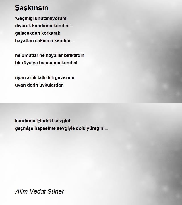 Alim Vedat Süner