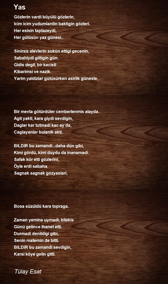 Tülay Esat