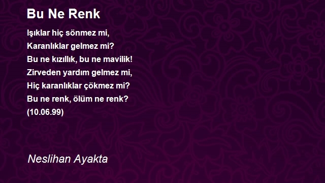 Neslihan Ayakta