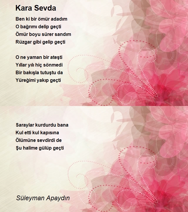 Süleyman Apaydın