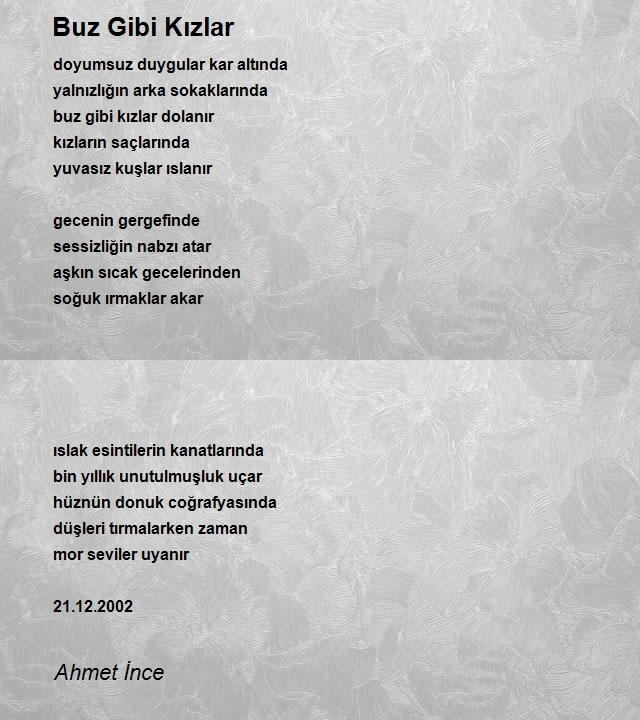 Ahmet İnce