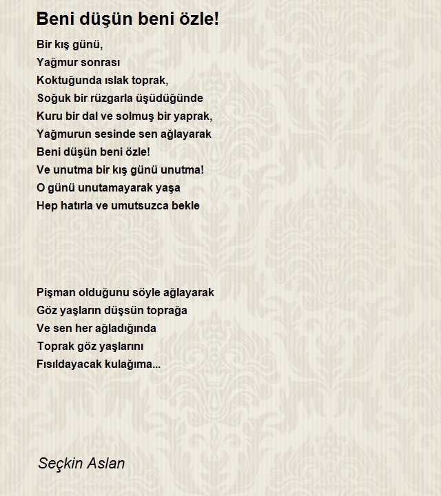 Seçkin Aslan
