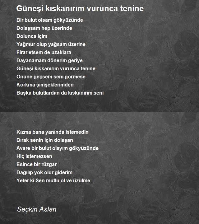 Seçkin Aslan