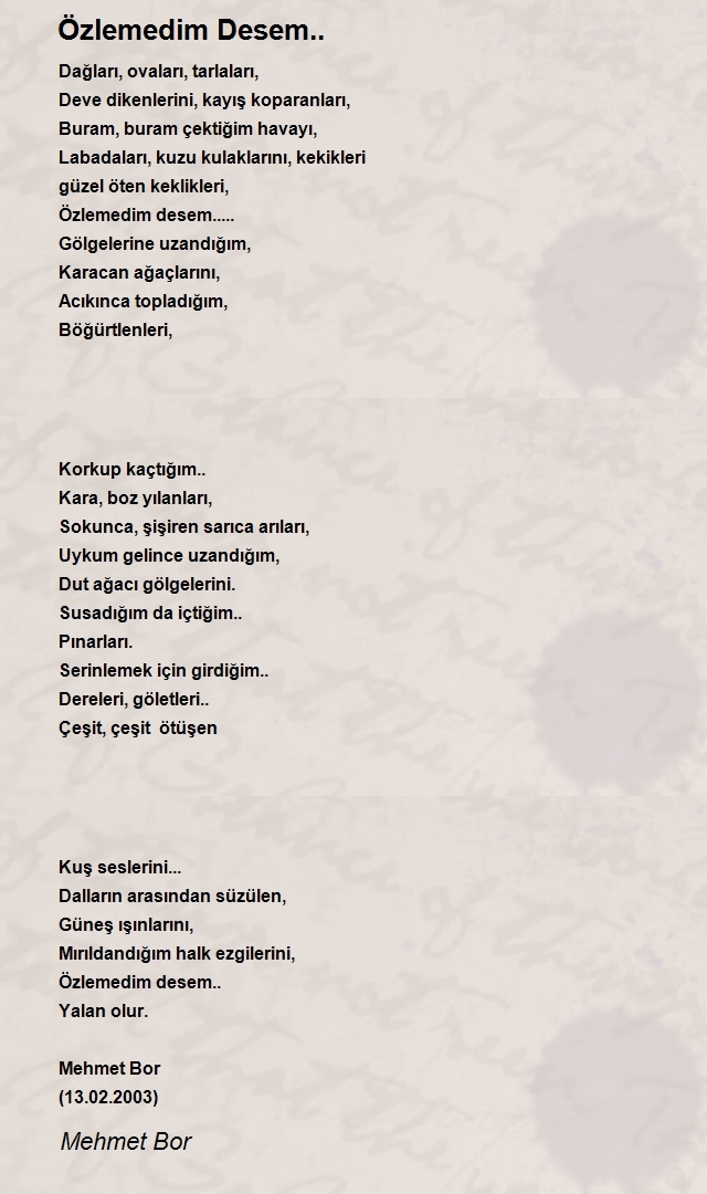 Mehmet Bor