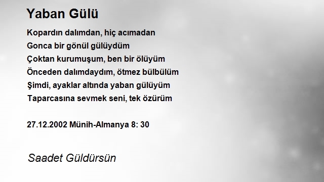Saadet Güldürsün