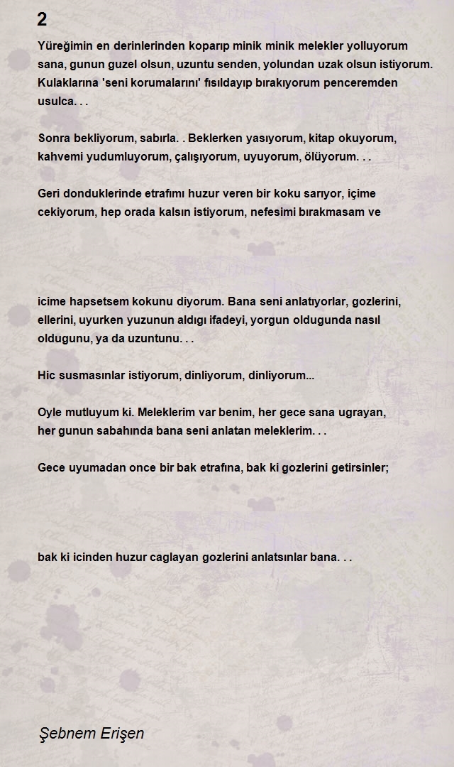 Şebnem Erişen