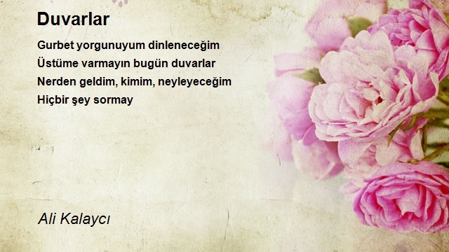 Ali Kalaycı