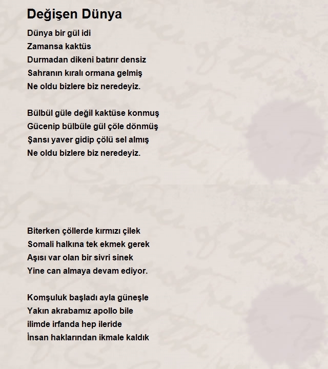 Ayşe Mattaoğulları