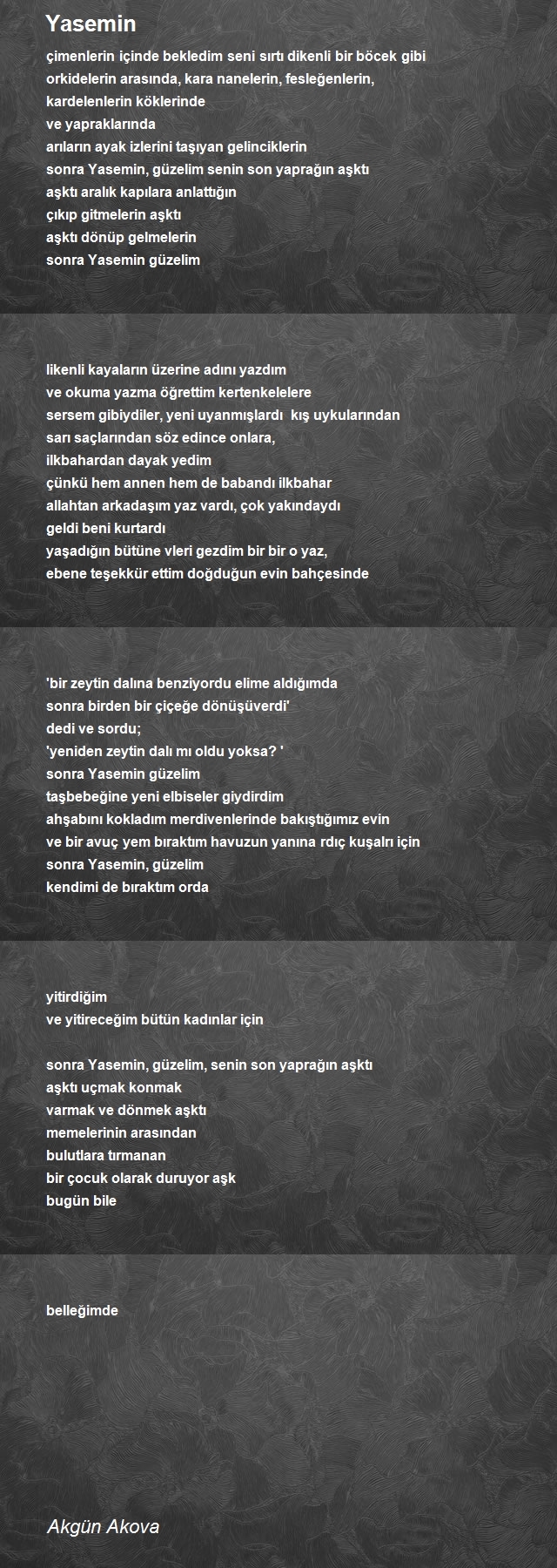 Akgün Akova