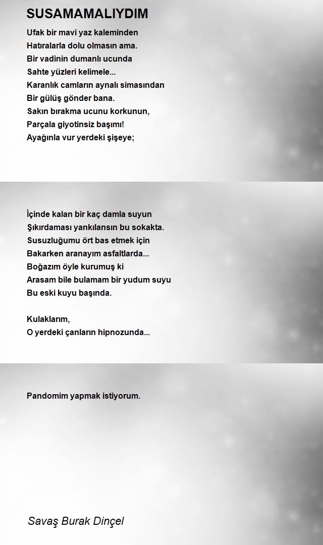 Savaş Burak Dinçel