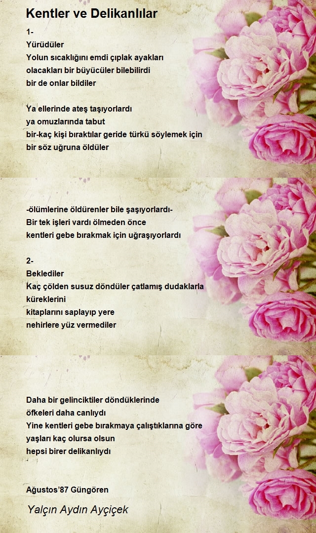 Yalçın Aydın Ayçiçek