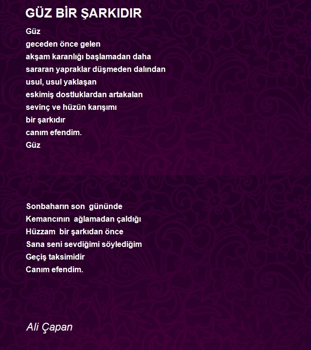 Ali Çapan