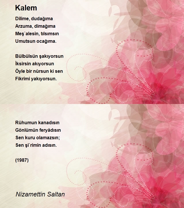 Nizamettin Saltan