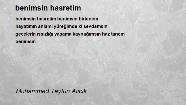 Muhammed Tayfun Alicik