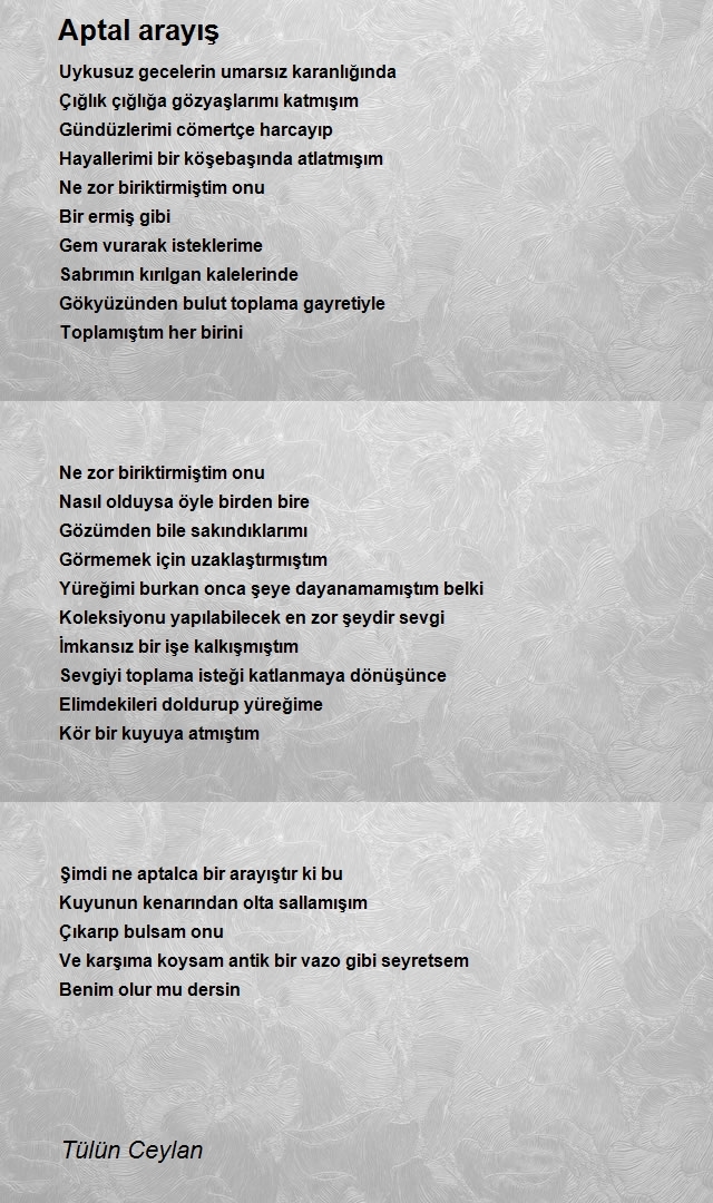 Tülün Ceylan