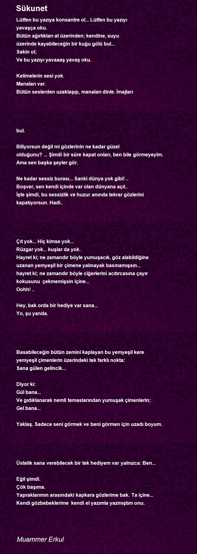 Muammer Erkul