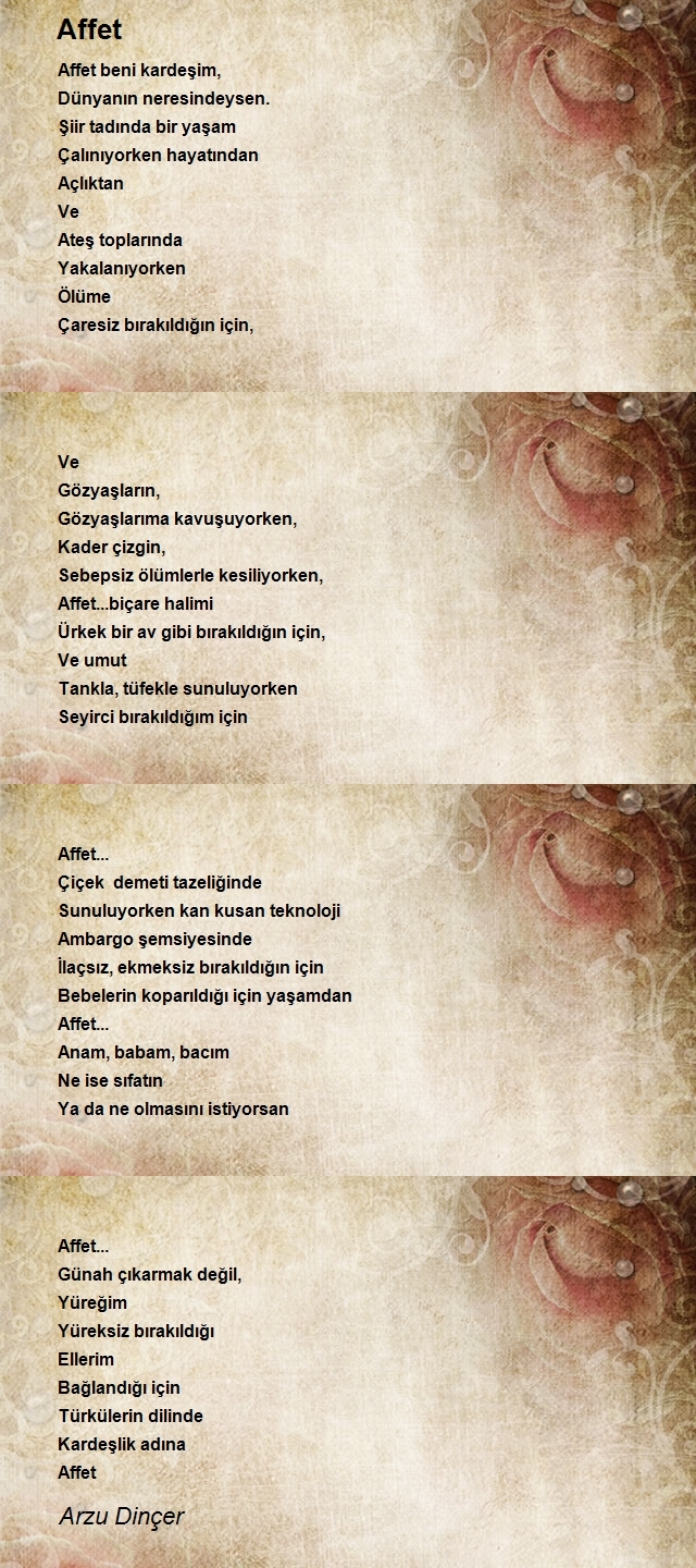 Arzu Dinçer