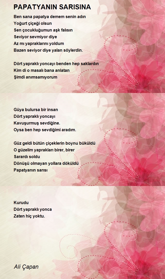 Ali Çapan