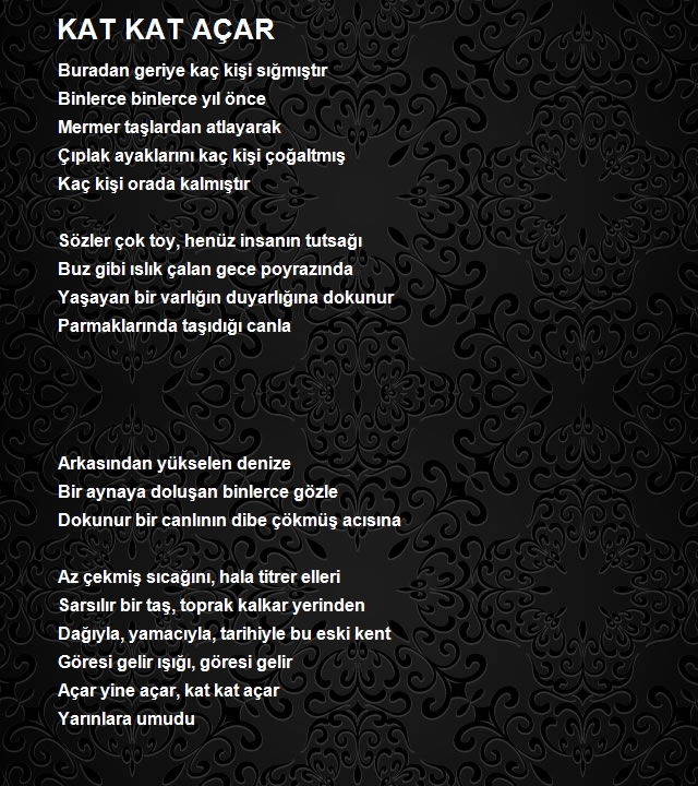 Özel Arabul