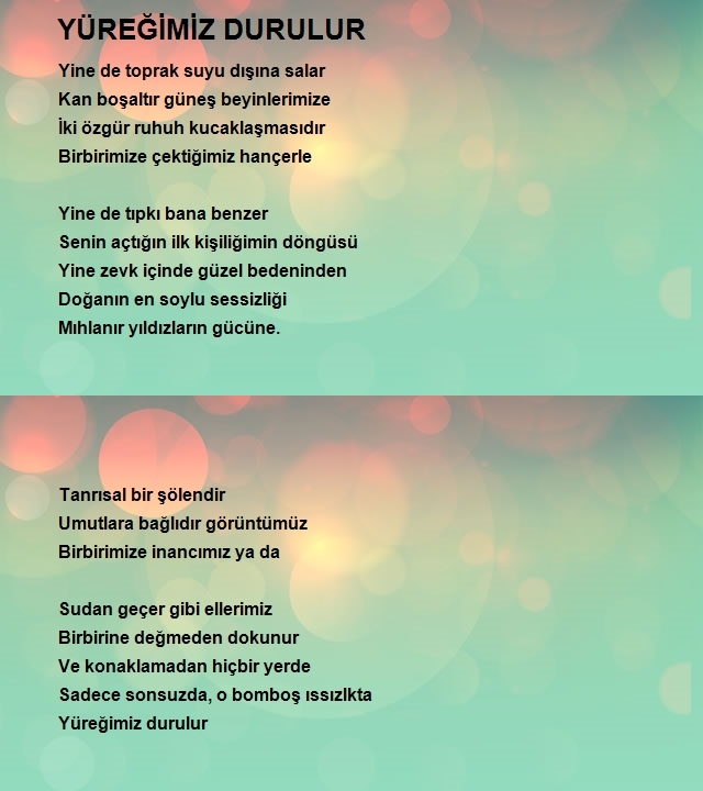 Özel Arabul