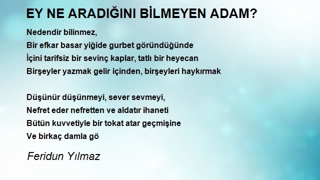 Feridun Yılmaz